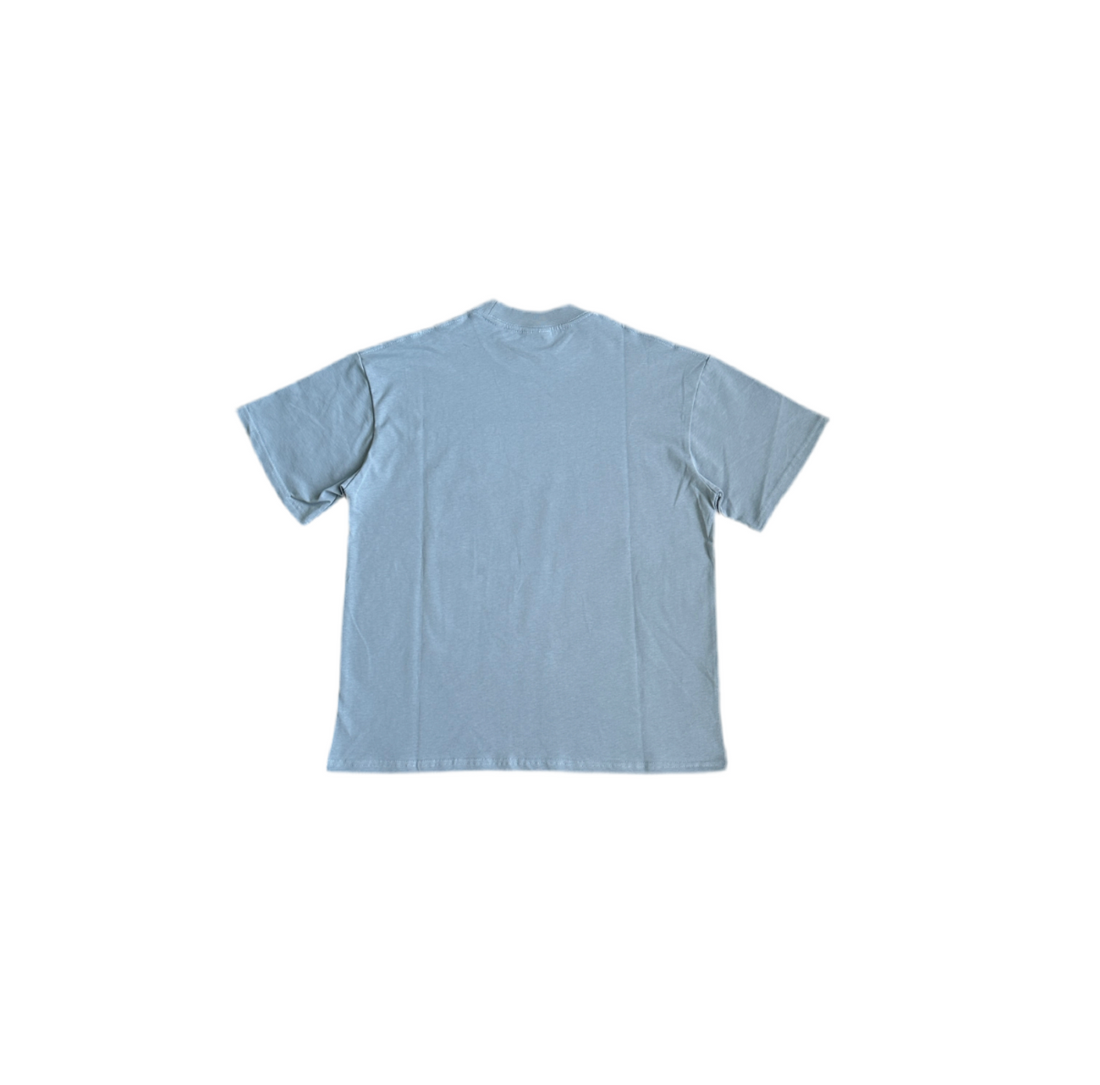 BP (BASIC WASHED ARCTIC T-SHIRT)